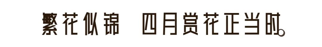 企業(yè)開展考核對國特色廈門中小產(chǎn)業(yè)家級集群績效