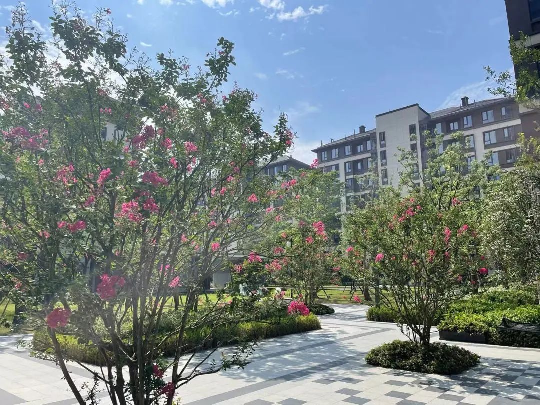 刚交付挂5万/㎡的阳光城檀悦到底长啥样?-合肥365淘房