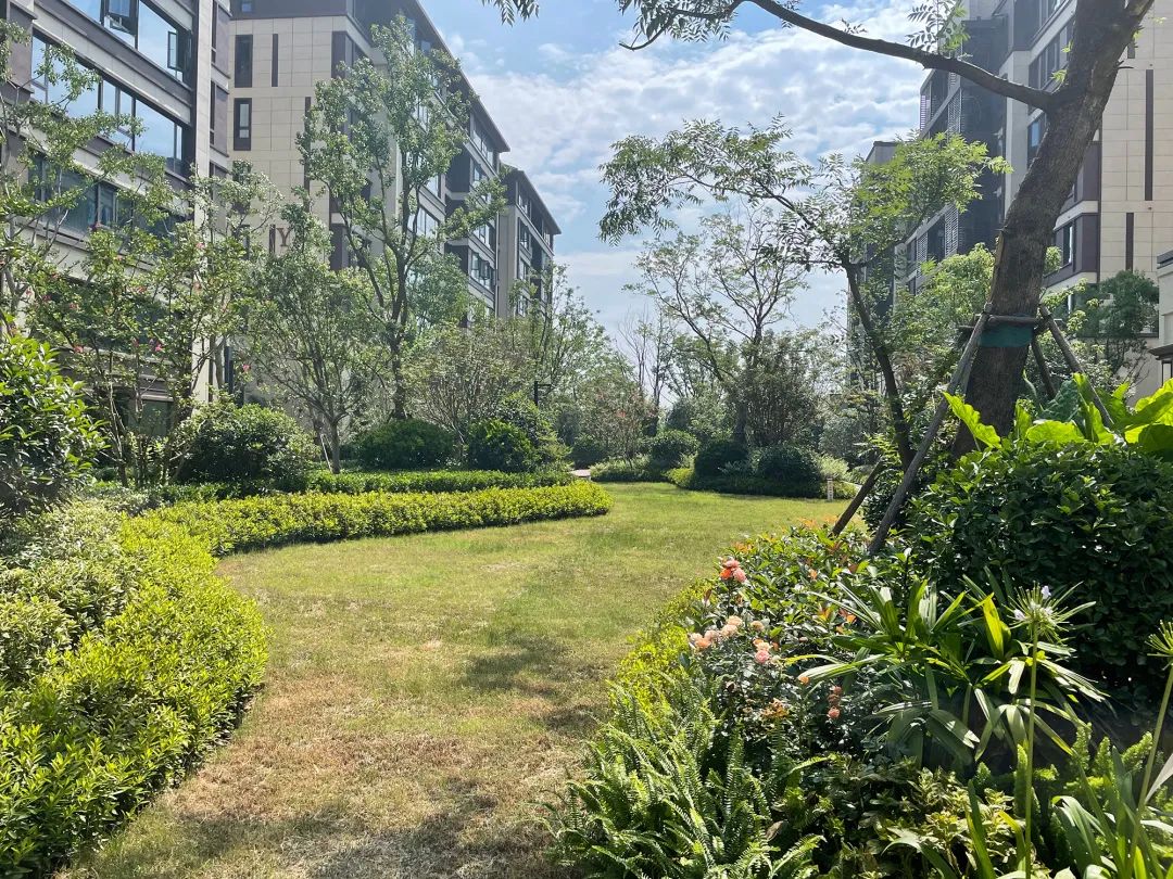 刚交付挂5万/㎡的阳光城檀悦到底长啥样?-合肥365淘房