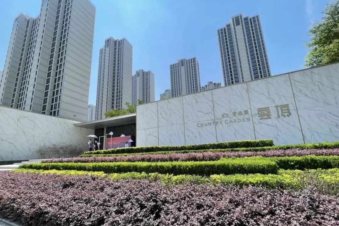 碧桂园云顶:小区北侧大门实景根据实拍图可以看到,入户大门为简约风格