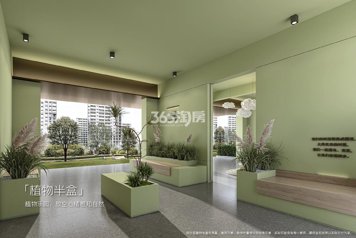 万科朗拾|雨核植物半盒效果图_南京万科朗拾|雨核_南京新房网_365淘房
