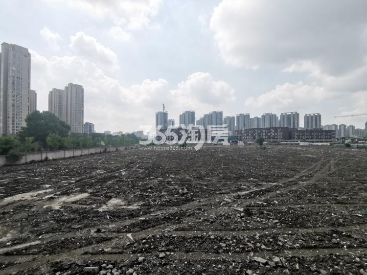 万科申花109号宅地实景图