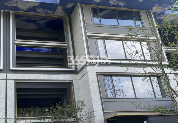 绿城丽澜轩外立面实景图