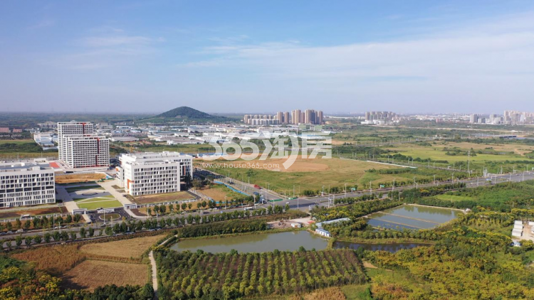 伟星万科·星遇光年周边配套—远景（2023.09.15）