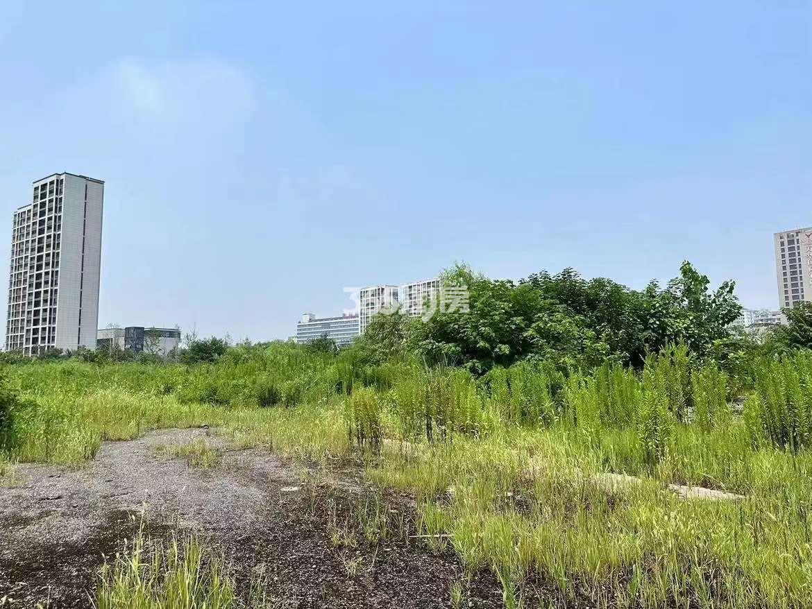 建杭东新130号地块实景图