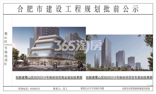 伟星SS202215号地块规划图