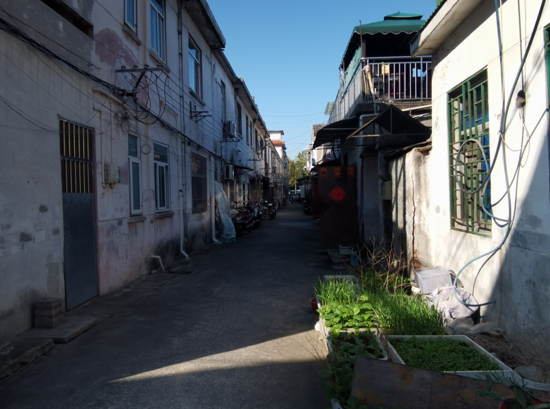 40多年了藏在南京主城的超大城中村实景令人惊叹我拍下这些画面