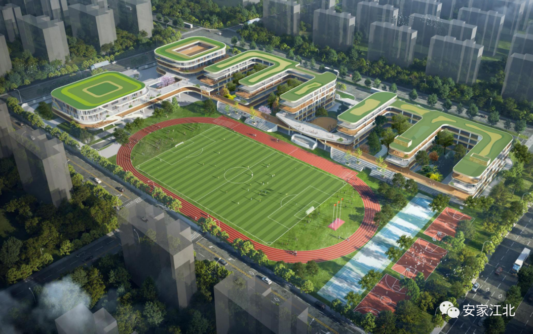 官方文件,江北这所重磅学校即将启动施工!2025年就建成-南京365淘房
