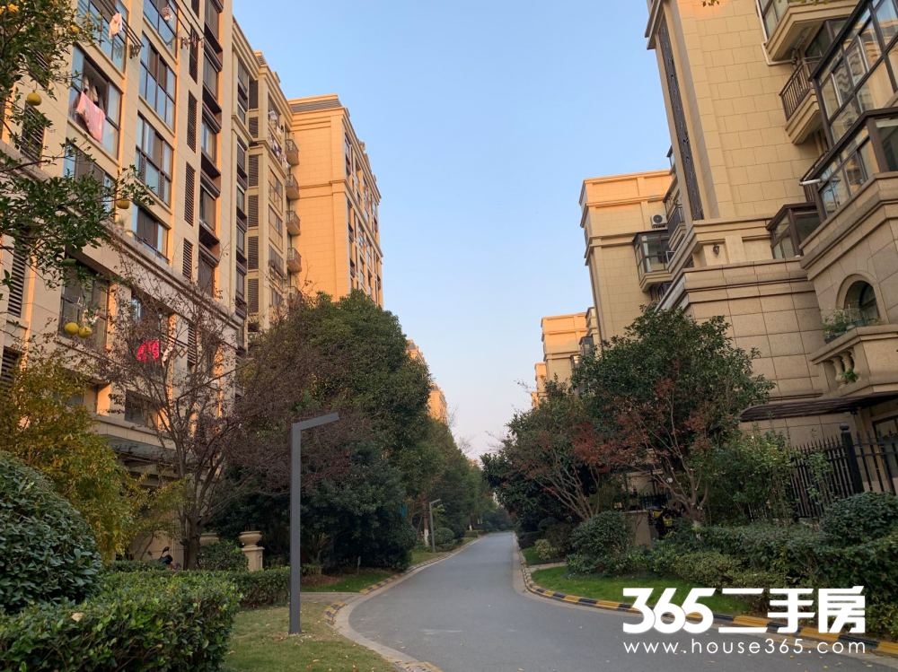 比周边高1万+/㎡,江宁这个地铁口小区太抢手,业主惜售……-南京365淘房
