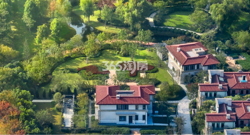 实景图