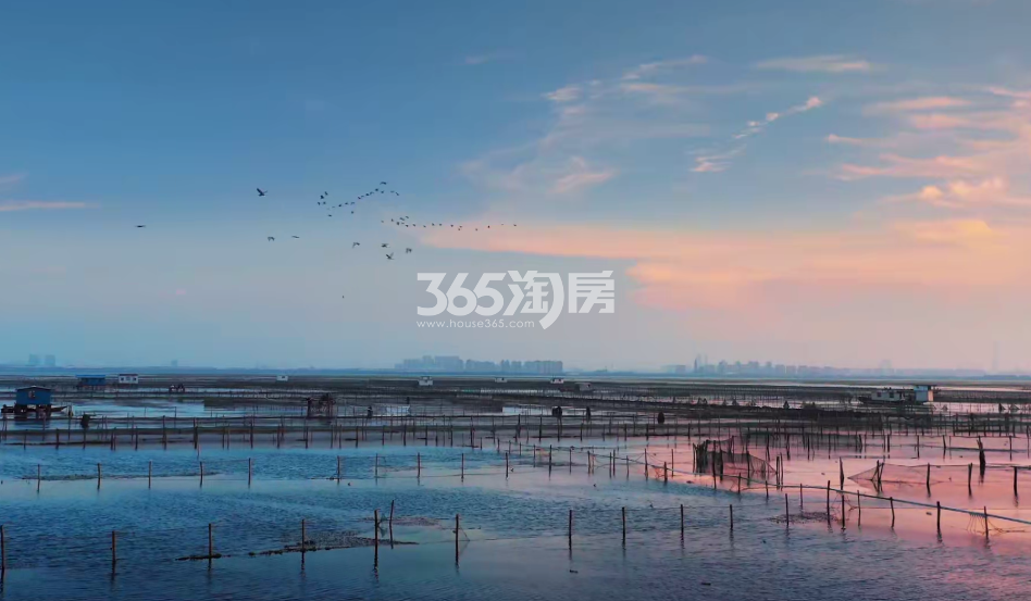 项目配套图
