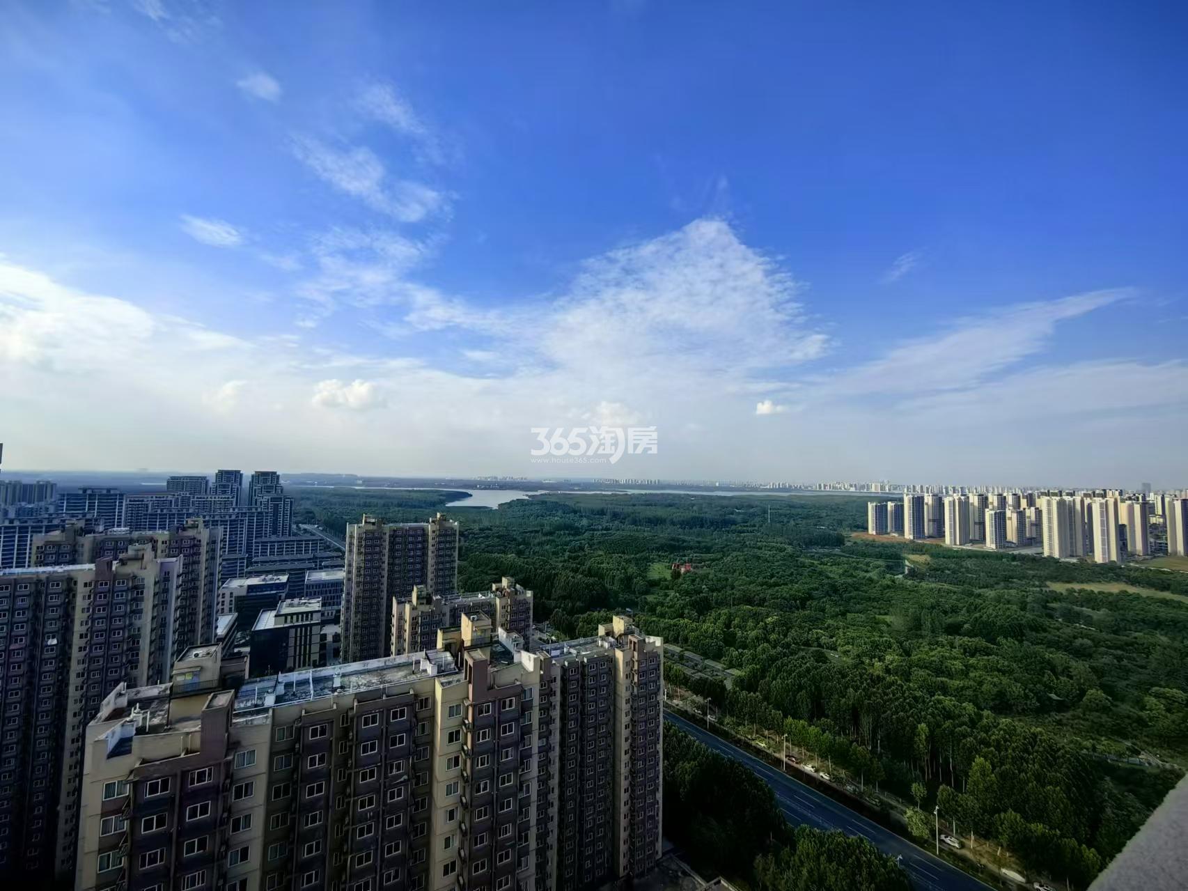 蜀山鸿博园实景图