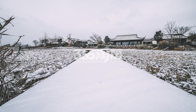 云水岗北实景图