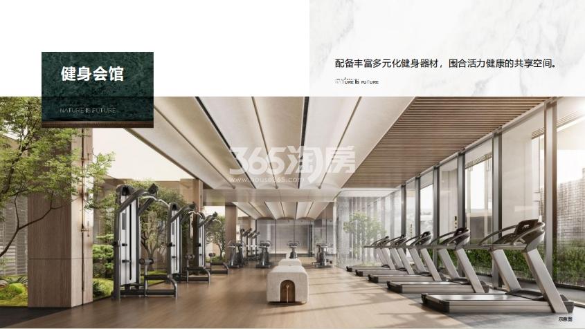 高速壹品森境健身室效果图