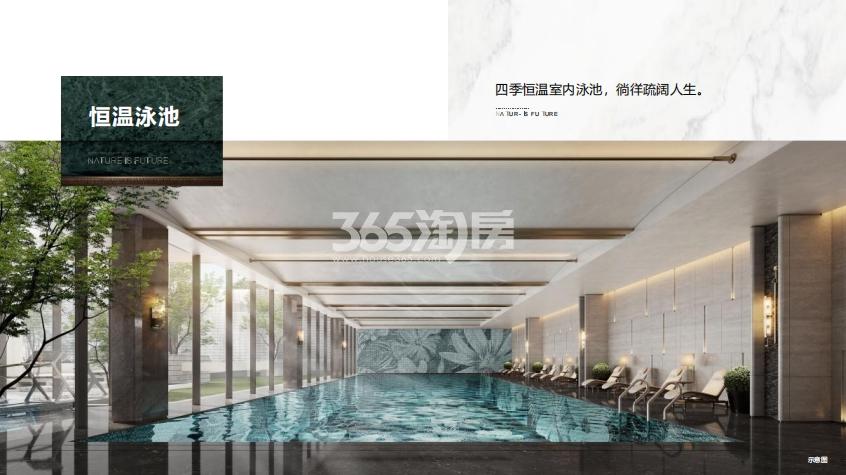 高速壹品森境泳池效果图