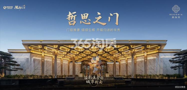 绿城锦海棠最新动态
