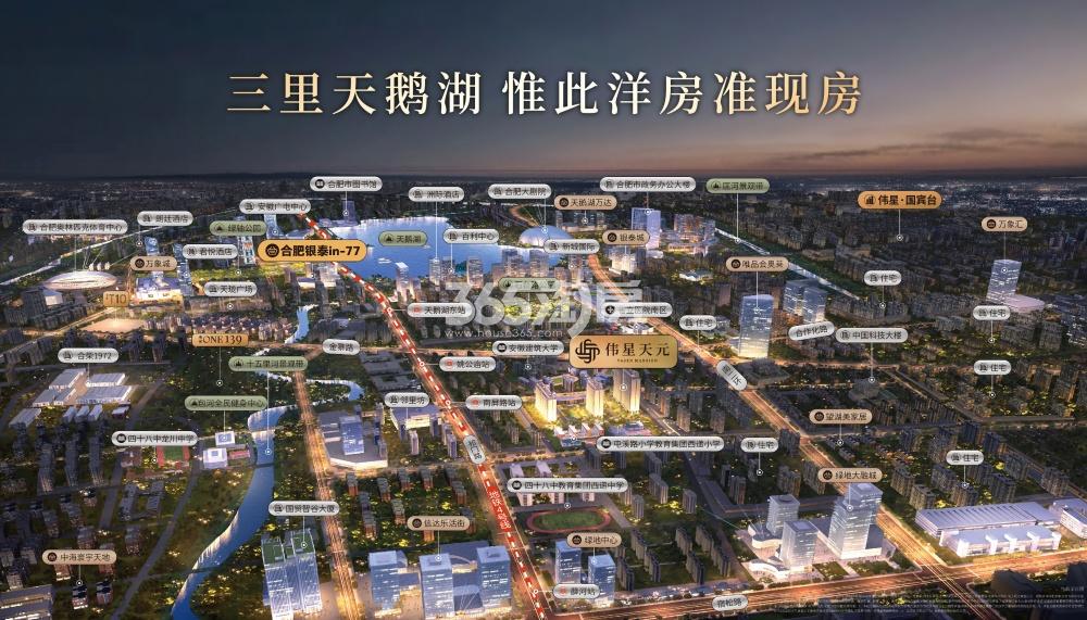 伟星·天元最新动态