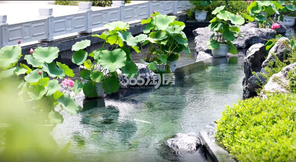 建投·晋和府示范区实景图