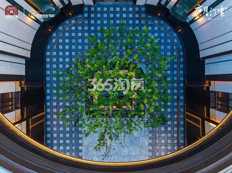 庐月汀雲示范区实景图