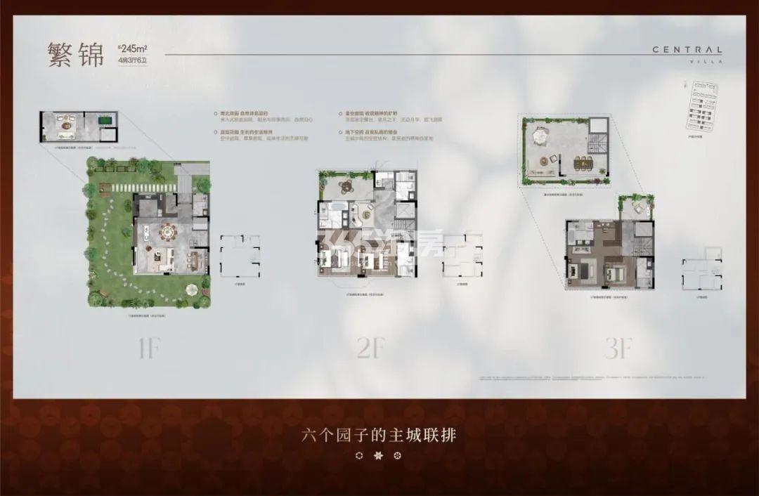 联排245户型
