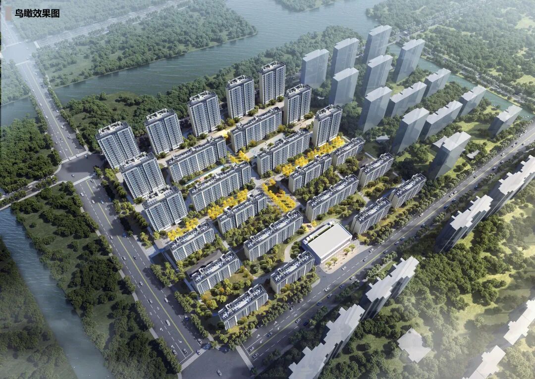 海棠喜舍鸟瞰图