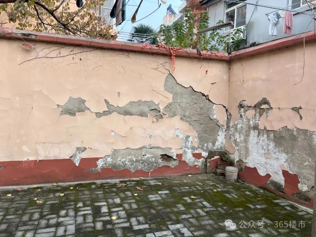 刚刚回复！南京一夜爆红的“老破小”拆除重建悬念再起！(图11)