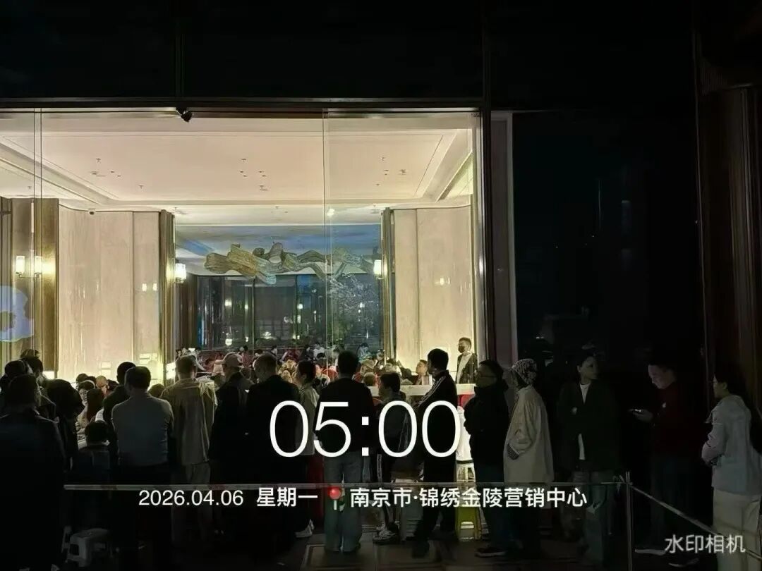 惊现通宵排队抢房!南京网红盘正在开盘,小长假楼市爆了-南京365淘房