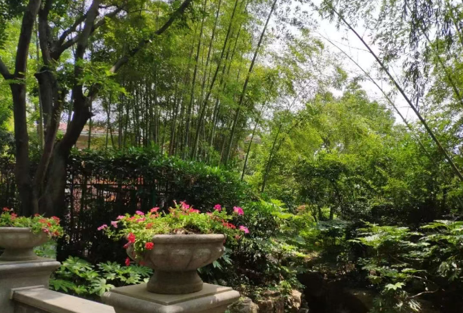 1688万成交!南京老牌豪宅又破纪录了!(图6)