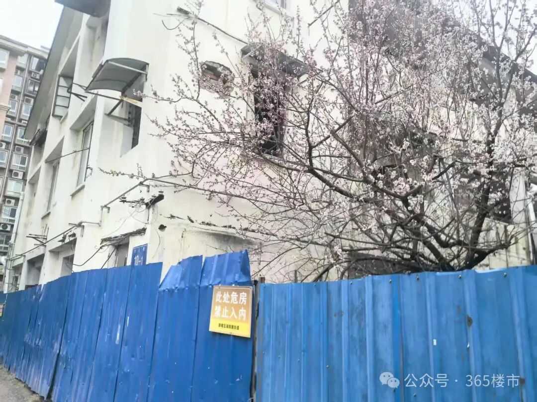 不拆了!南京又一危房原址翻建方案刚刚曝光!(图5)