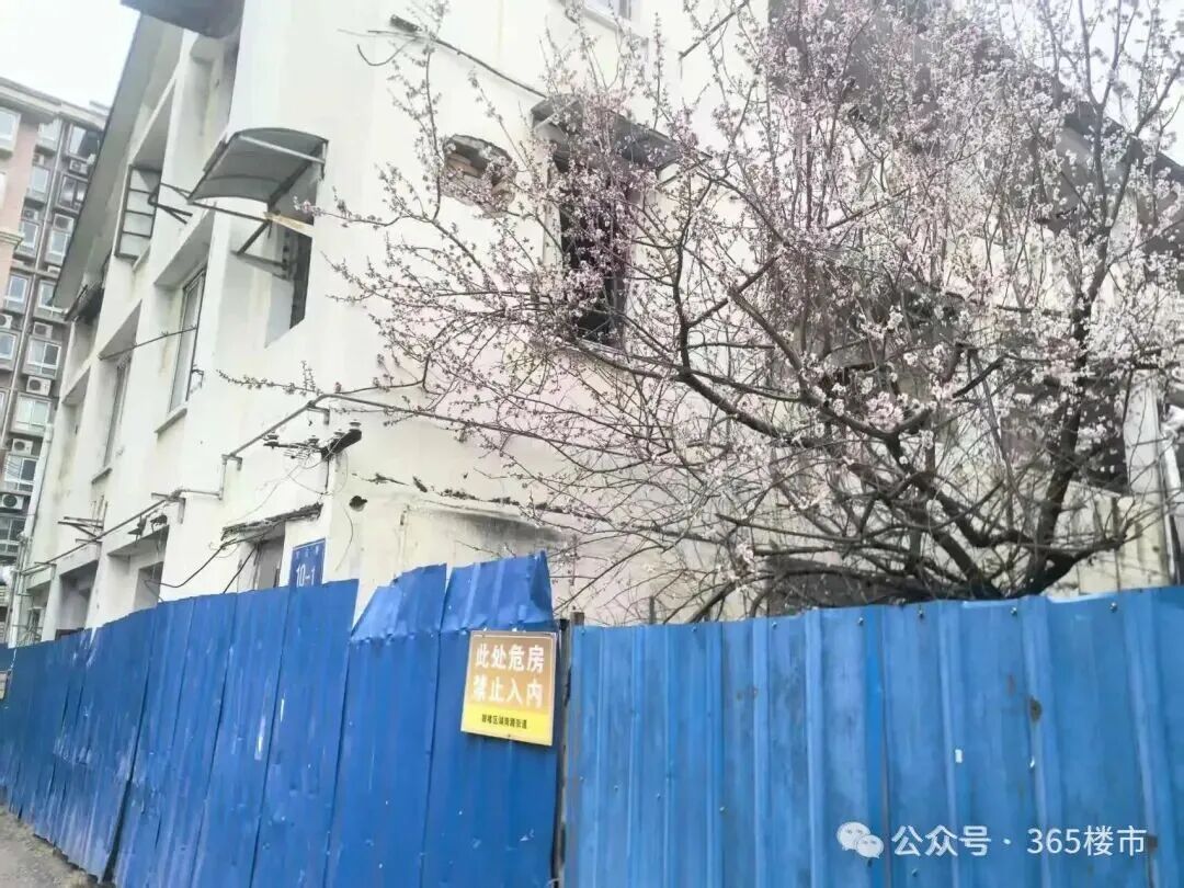 刚刚公告！南京危房小区启动异地安置！(图5)