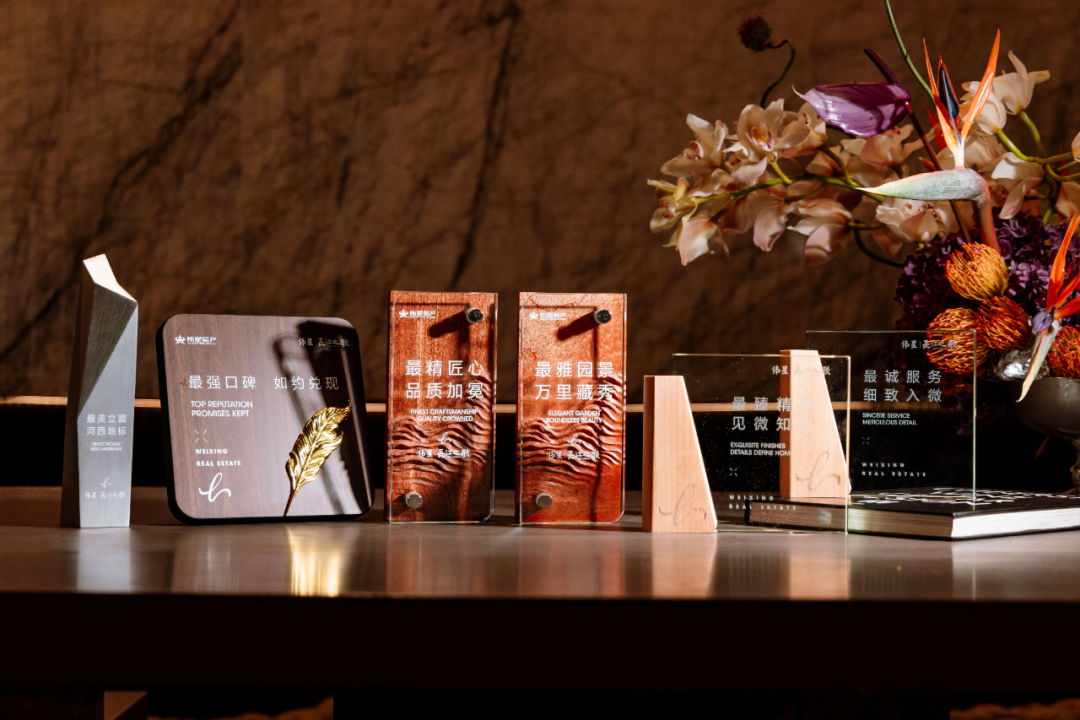 “扎硬寨”的伟星：用一场“最争气”的交付刷新南京豪宅标杆(图1)