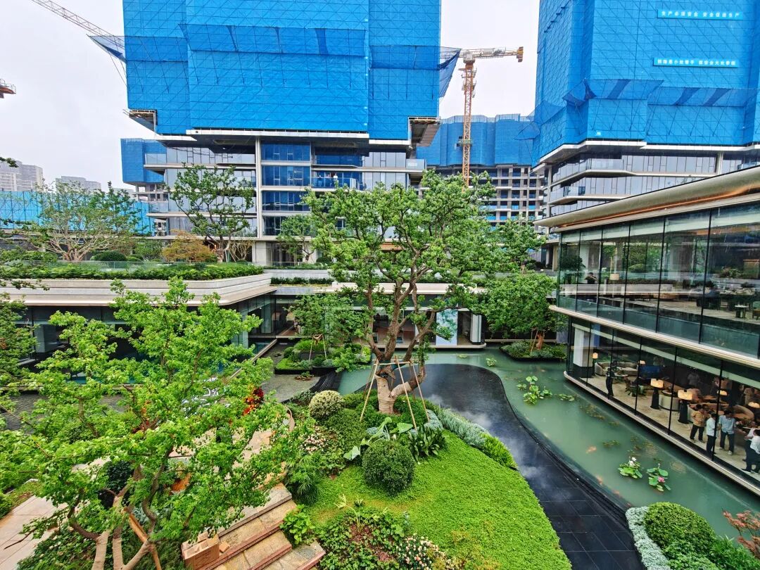 冒雨实探!江北四代宅刚刚公开产品力直接叫板河西顶豪(图12)