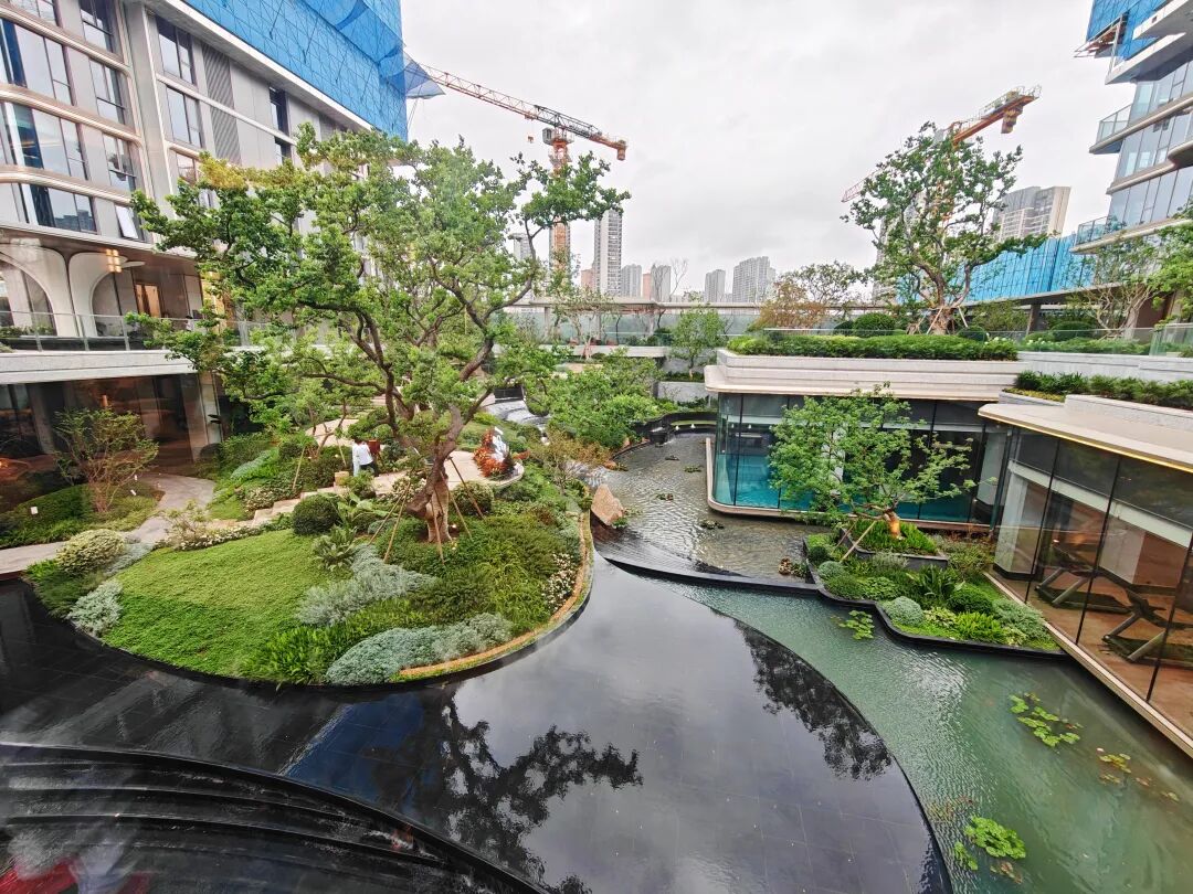 冒雨实探!江北四代宅刚刚公开产品力直接叫板河西顶豪(图11)